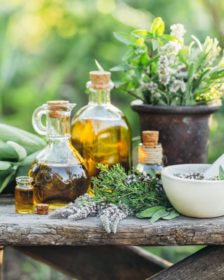 Plantes médicinales info et bienfaits, vertus et contre-indications